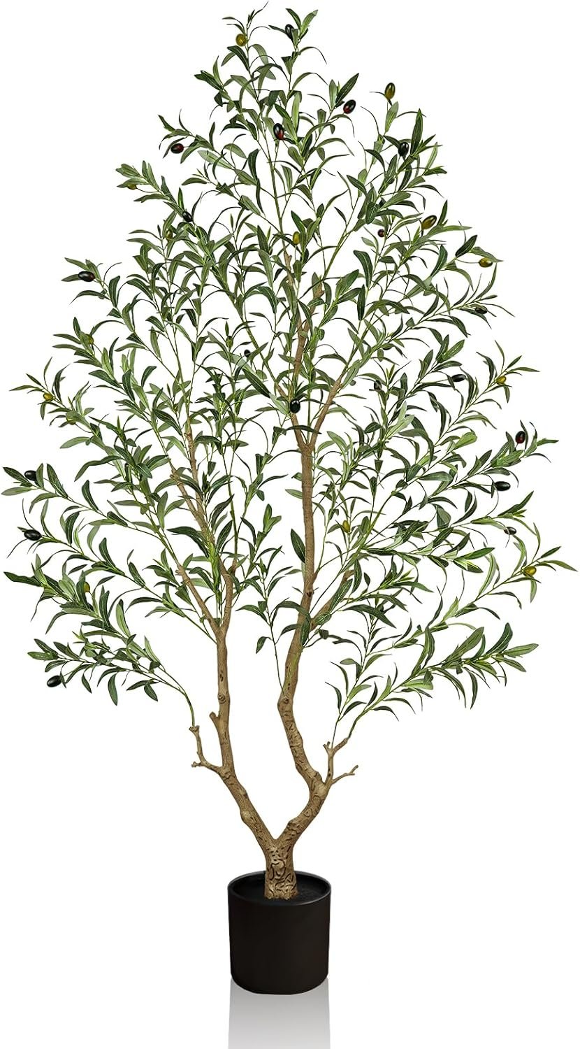 Olive Trees Artificial Indoor 6FT Tall, Faux Olive Tree with Black Basic Planter, Lifelike Fake Olive Plant Decorative, Silk Leaves and Premium Plastic Trunk for Home Living Room Office Decor