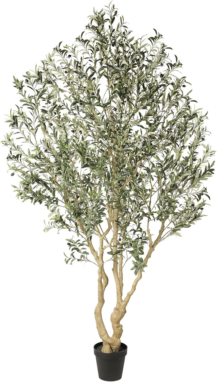 Realead Artificial Olive Tree 8ft – Large Faux Olive Tree with Realistic Leaves and Olives – Full and Grand Design Fake Olive Tree with Sturdy Base for Indoor Office Decor